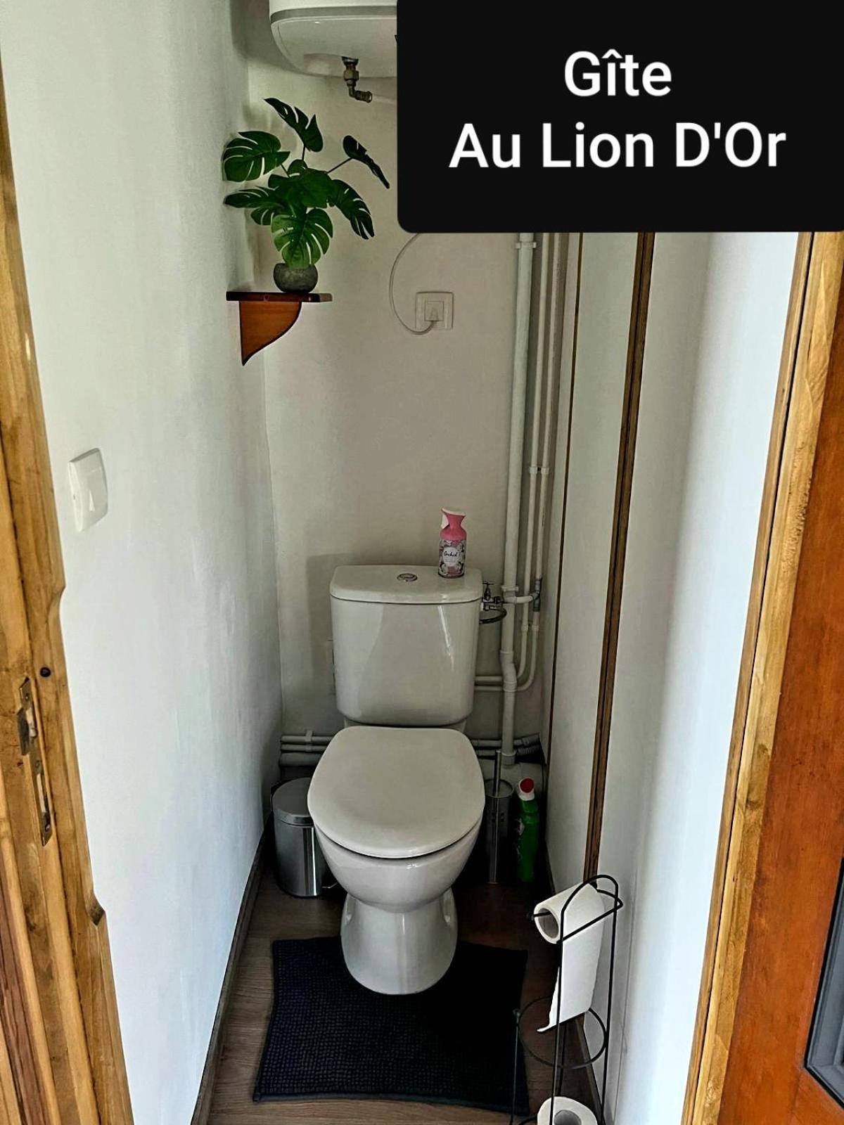Au Lion D'or Appartement *